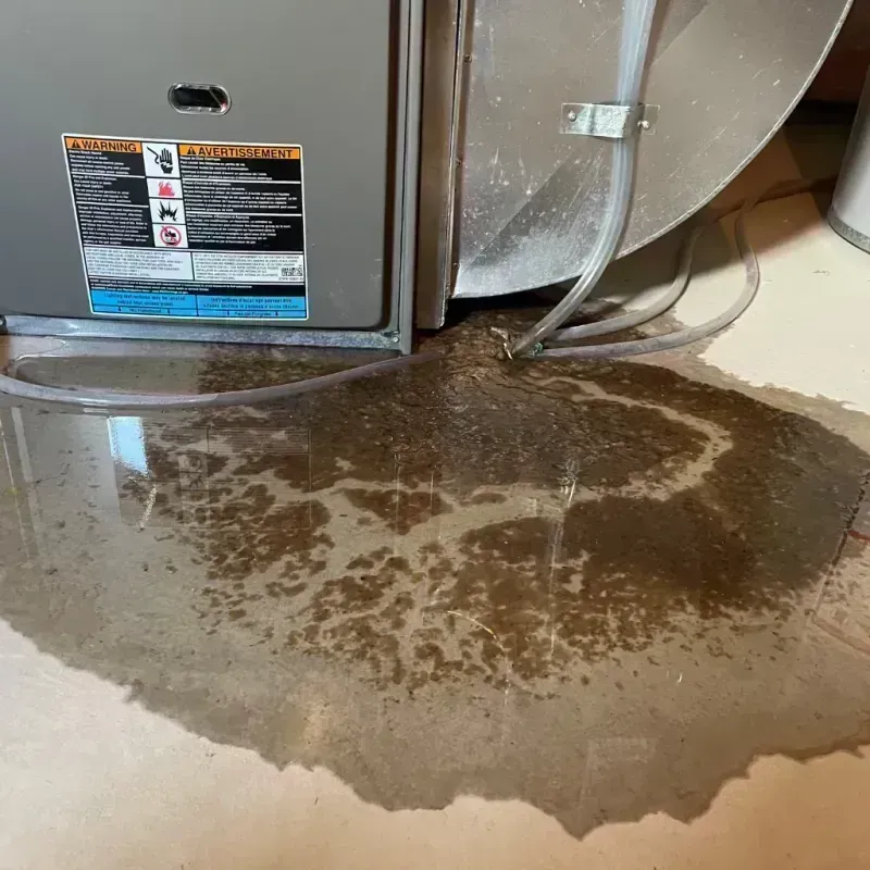 Appliance Leak Cleanup in Knox County, IL